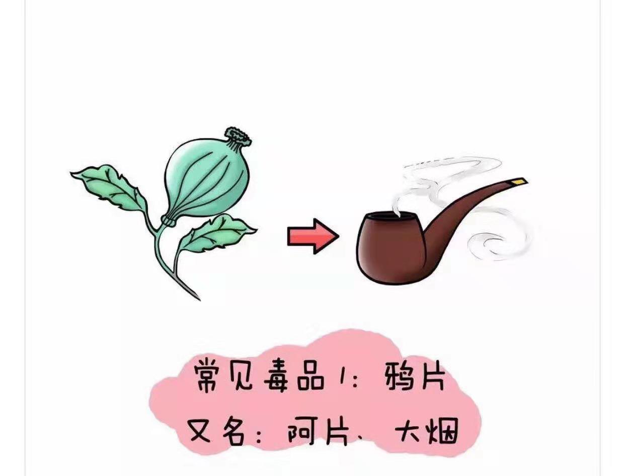 微信图片_20190624155654.jpg 微信图片_20190624155654.jpg