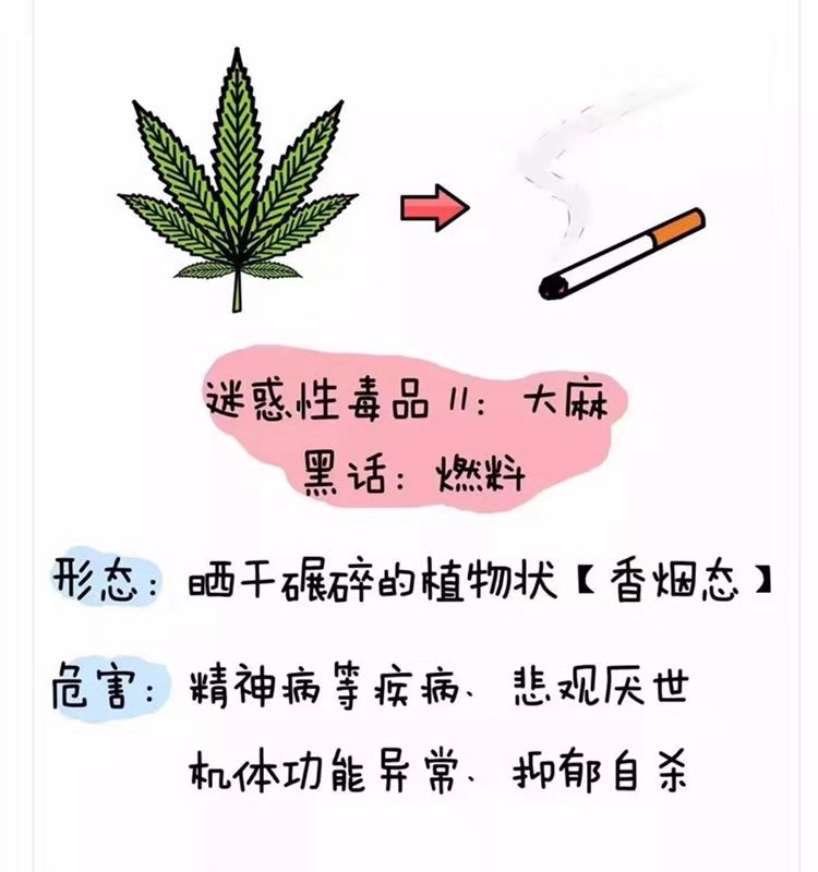 微信图片_201906241556549.jpg 微信图片_201906241556549.jpg