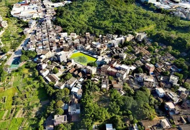 春雨直播
杜阮镇上巷村。黄伟民摄