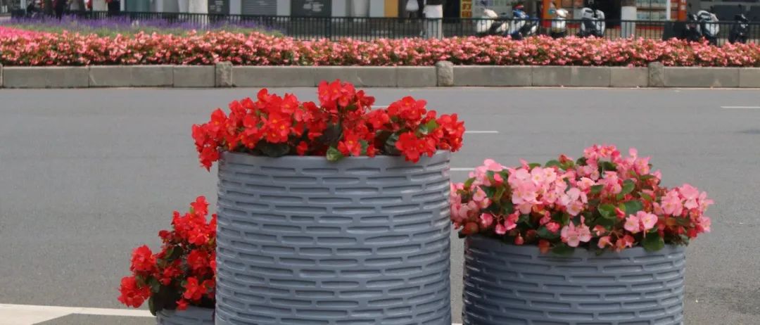 a22e993bd2ad33803b2122886c07bec.jpg 图片