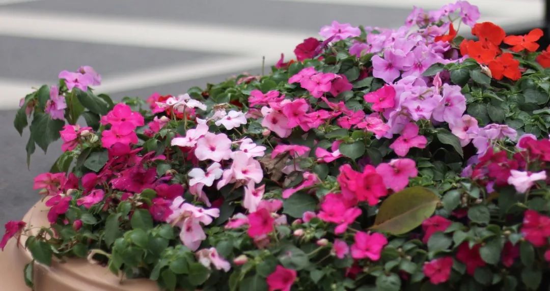 be1731698b11cfae593763aaa6b545e.jpg 图片