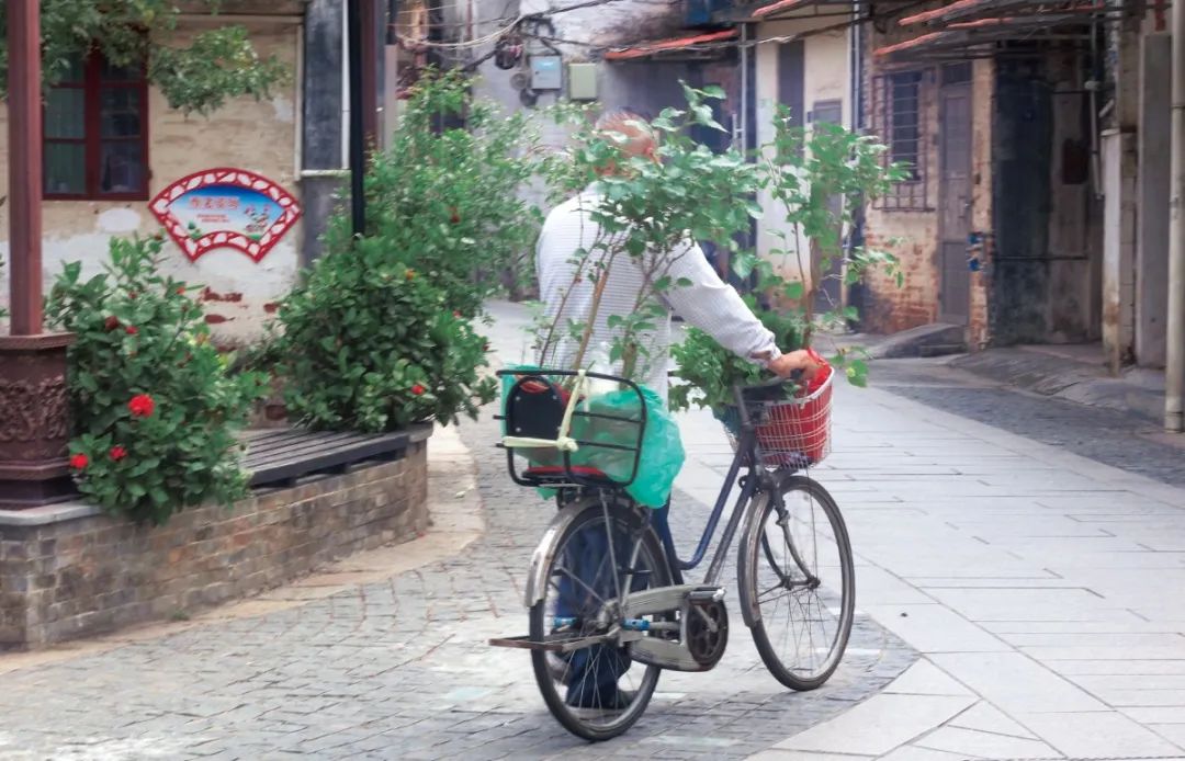 d4a5152df1ee1bac370802973f18931.jpg 图片