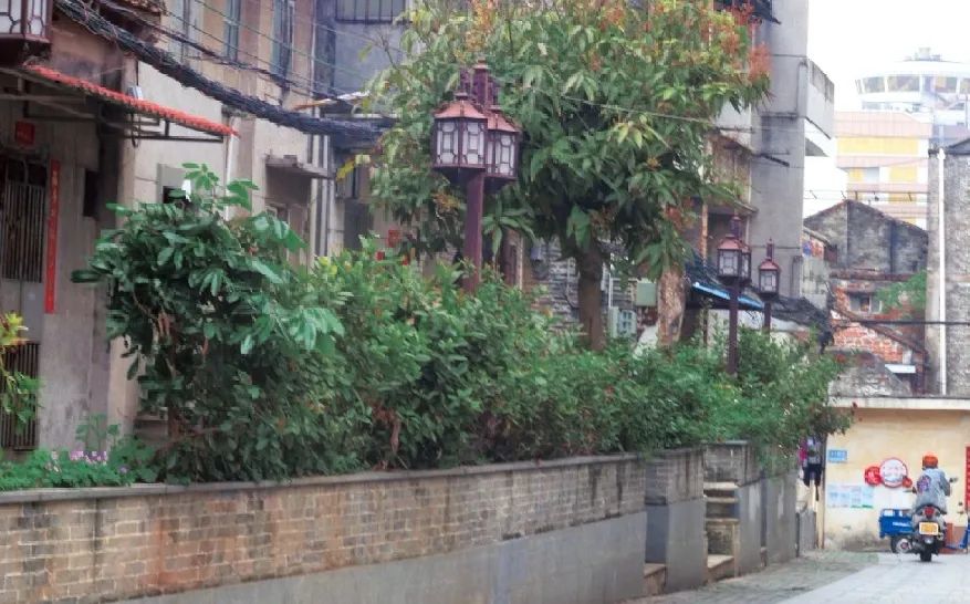 443cbdeaa4132b03f96eae9328349a7.jpg 图片