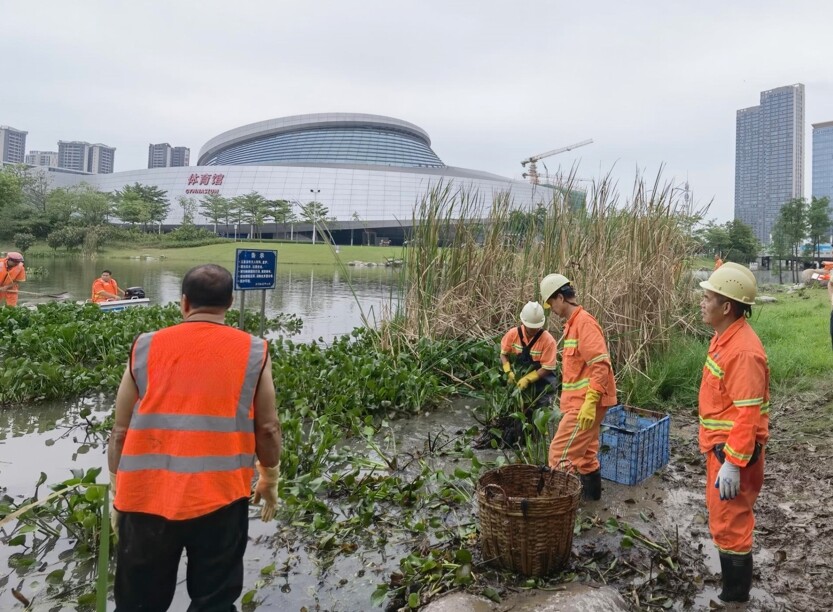 2023年5月创文动态信息1）_1