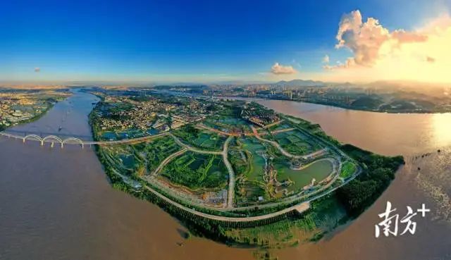 江门人才岛的基建配套逐步完善。 受访者供图 图片