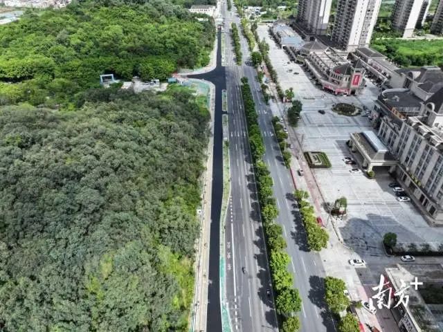 潮连大道升级改造。 受访者供图 图片