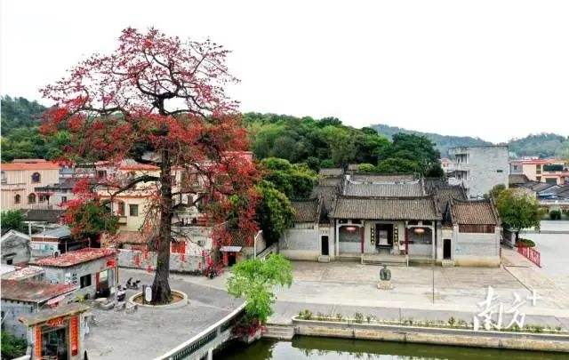 良溪村打造“品牌+文创”路线,培育“古韵良溪”品牌。 图片