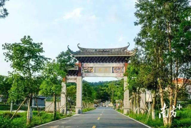 走进良溪,满眼的绿治愈人们心头的烦躁。 图片