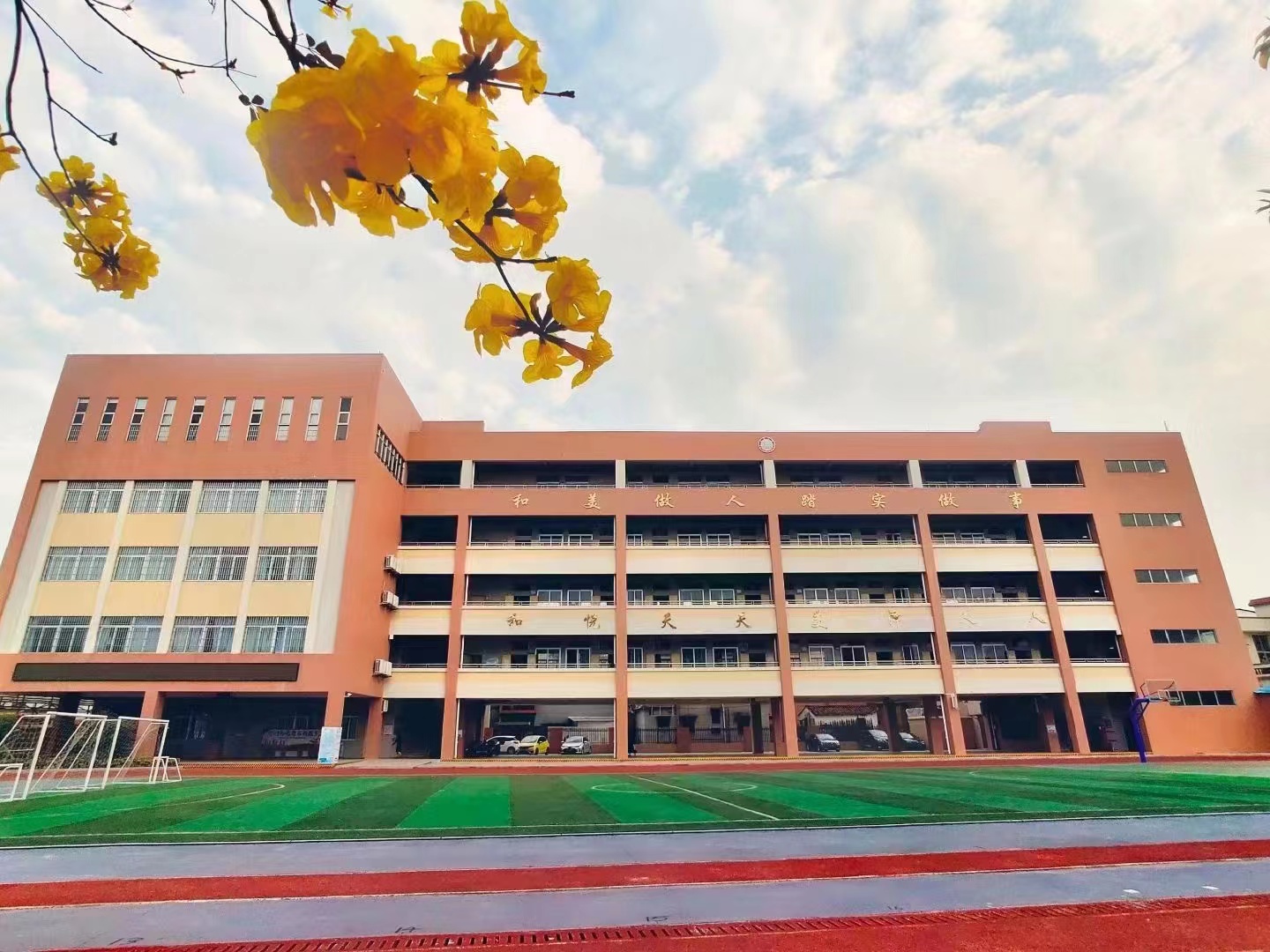 （春雨直播
荷塘镇白藤小学）学校图片.jpg