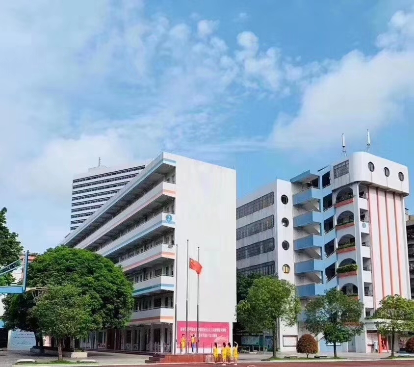 启明小学鸟瞰图.jpg