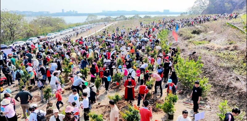 1-1植树大场景.jpg