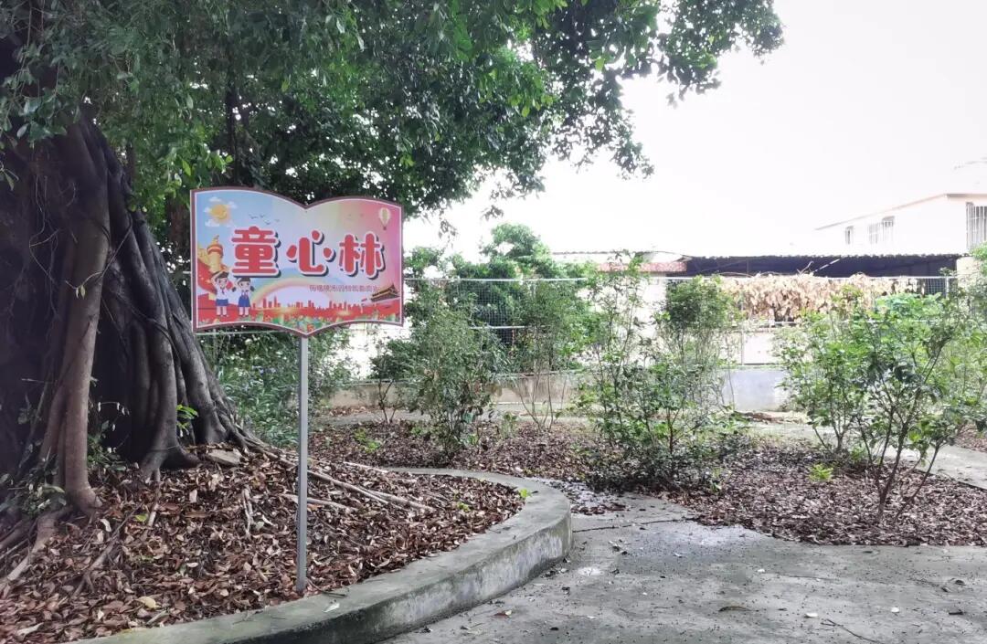 640 - 2025-04-01T093558.850.jpg