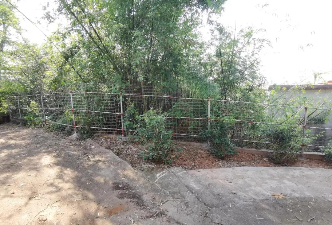 640 - 2025-04-01T093542.166.jpg