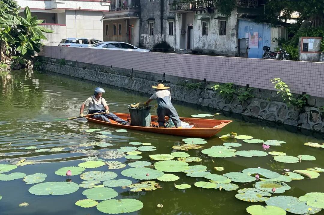 640 - 2025-04-01T093531.482.jpg