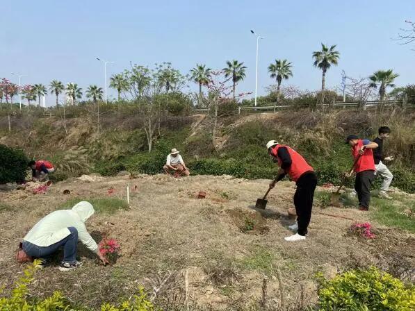 640 - 2025-04-08T093321.631.jpg