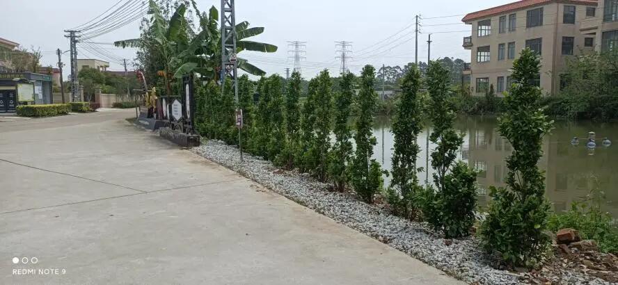 640 - 2025-04-08T093318.371.jpg