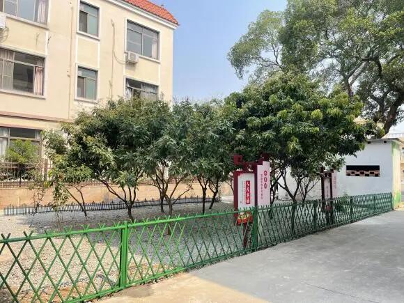 640 - 2025-04-08T093307.312.jpg