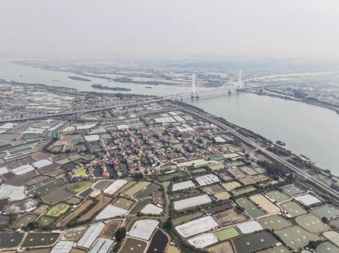 640 - 2025-04-08T093258.251.jpg