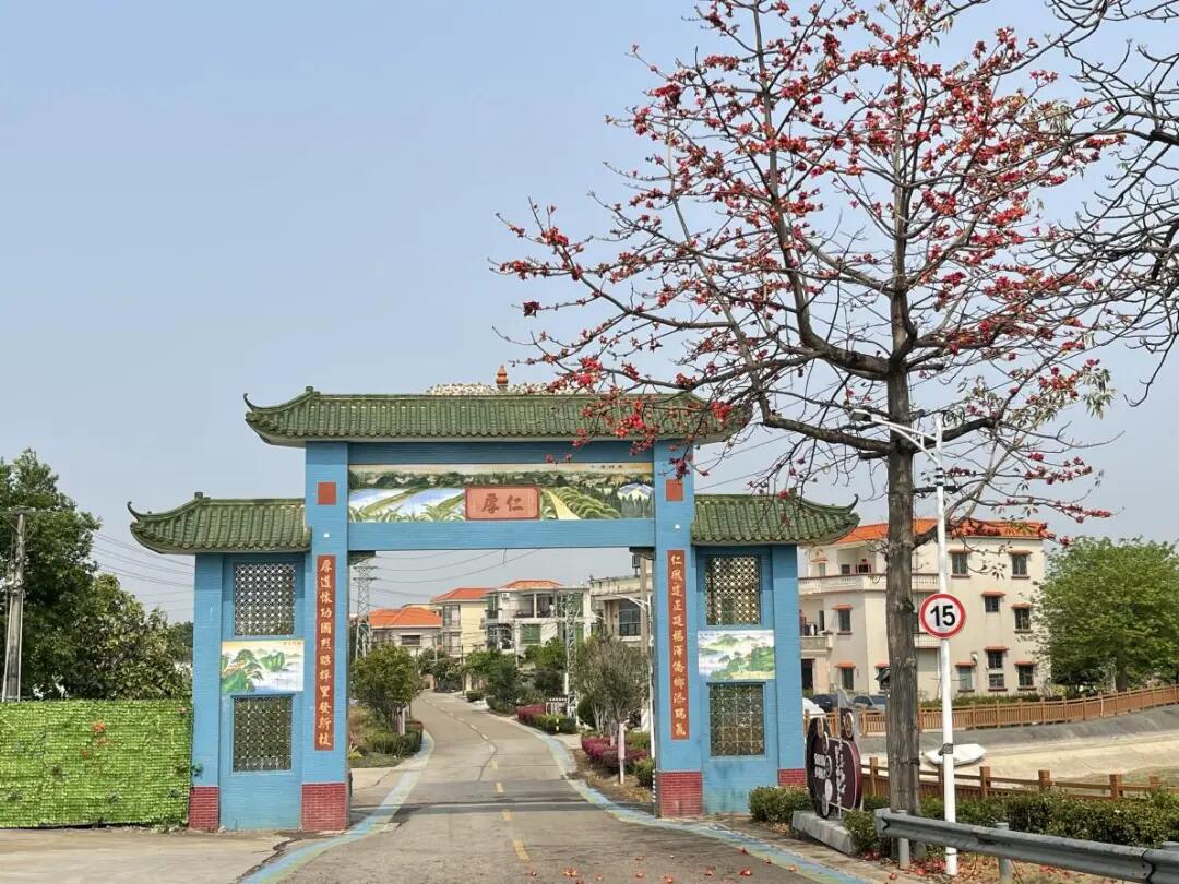 640 - 2025-04-08T093255.620.jpg