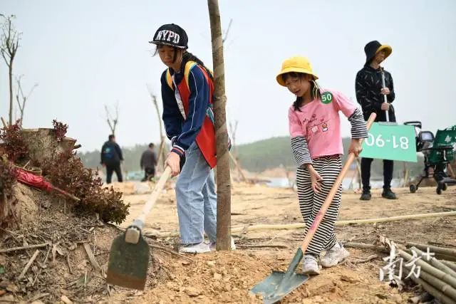 姐妹齐心,干活不累。 图片
