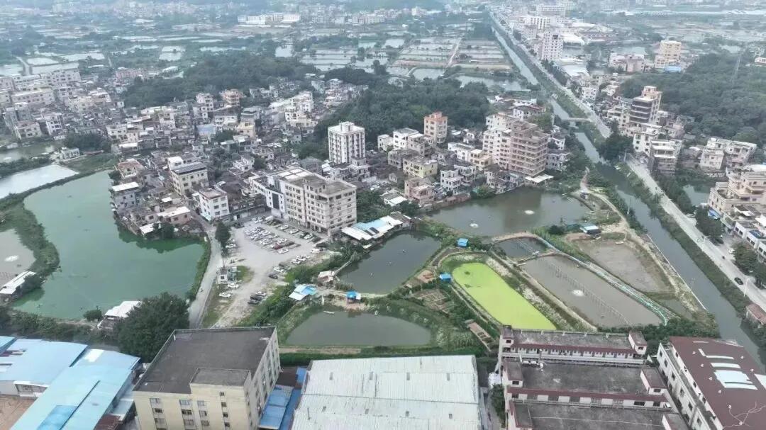 640 - 2025-04-18T101439.273.jpg