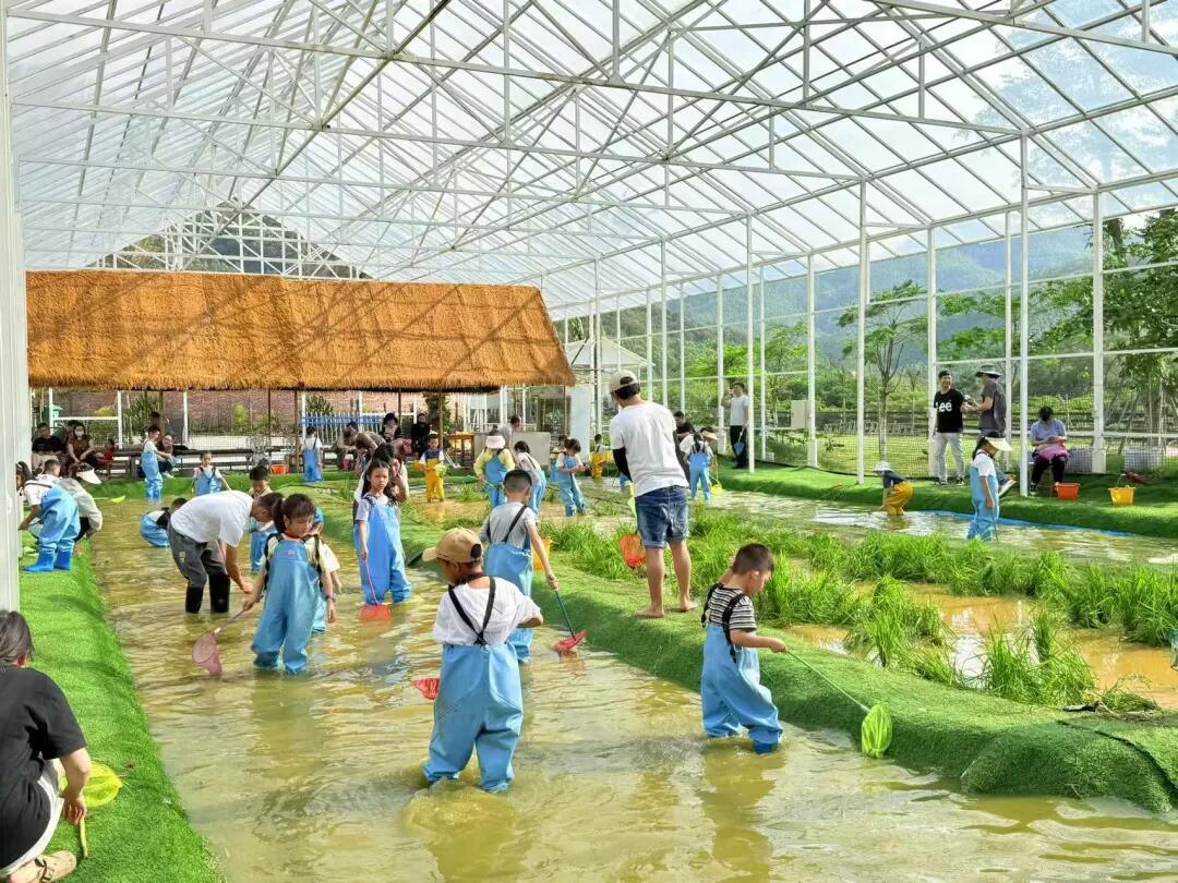 640 - 2025-05-09T100720.715.jpg