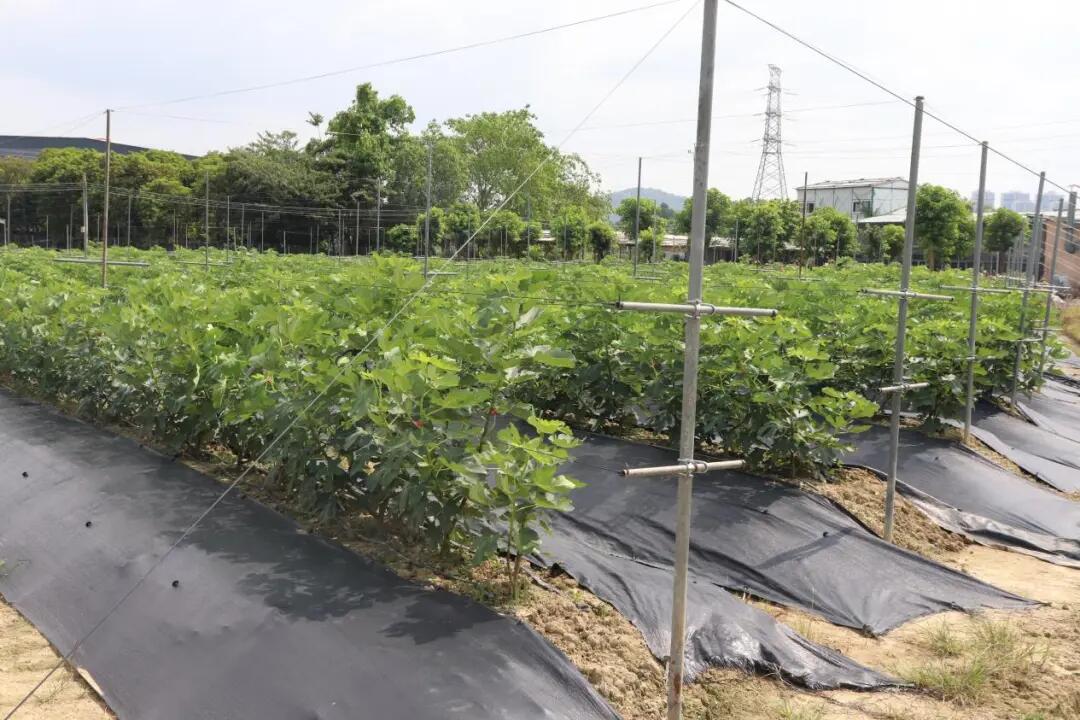 640 - 2025-07-25T092830.435.jpg