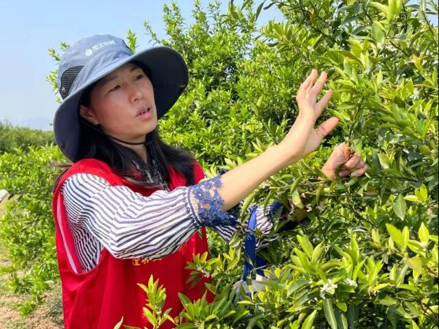 640 - 2025-07-29T094150.637.jpg