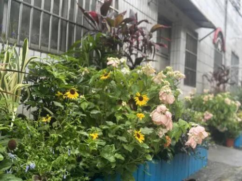 640 - 2025-08-26T091248.285.jpg